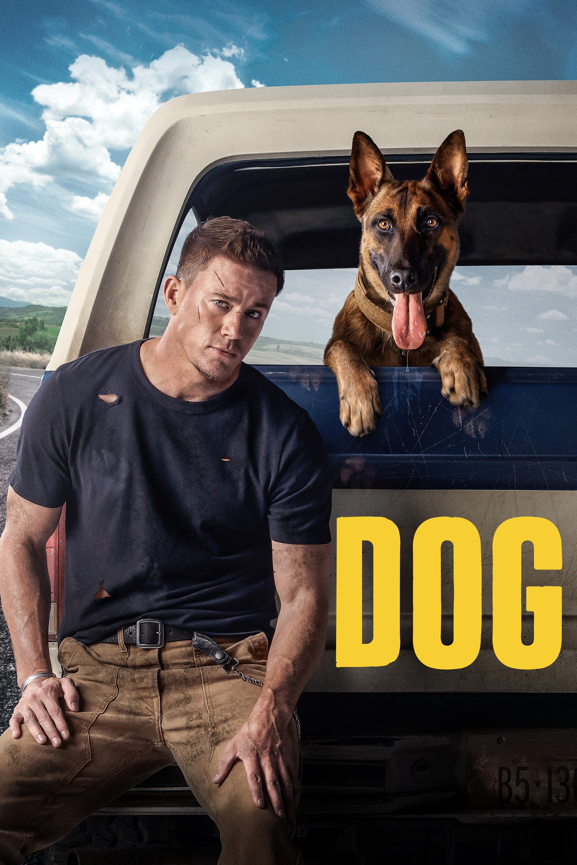 Dog (2022) [74041] (A1772150519) [[Movies 2.0]] --Plex--